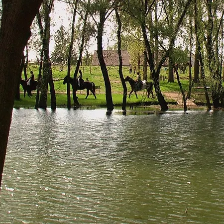 Borostyan Birtok Guest house *